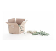 Doos a 100 anthuriumsteekbuis 15 cm