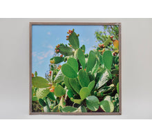 Buiten canvas cactus in frame 58x58cm