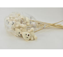 Pak á 12 Pluche beer creme op 50cm stok