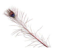 pb. 6 peacock feathers red 100cm