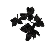 pb. cotton pod black 250 gr