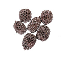 pb. big casurina 200 gram pink