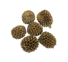 pb. big casurina 200 gram gold