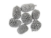 pb. big casurina 200 gram silver