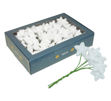 w/b. 18x6 sparkling stars/wire white 40mm