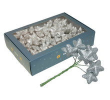 w/b. 18x6 sparkling stars/wire silver 40mm