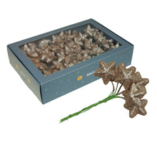 w/b. 18x6 sparkling stars/wire champagne 40mm
