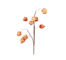 Physalis spray (9) orange 70 cm