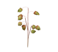 Physalis spray (9) green 70 cm