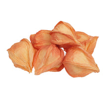 24 physalis/loose orange 5 cm