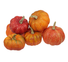 pb. 12 pumpkins orange ass.