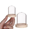 bell jar with wooden base Ø8 height 8 cm