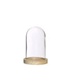 bell jar with wooden base Ø10 height 15 cm