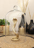 Large glass cloche with knob Ø18.2 h.30 cm