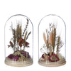 Bell jar with dried flowers 2 assorted - Ø12 h.21 cm - pink/burgundy