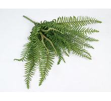 Fern bush 50cm Green