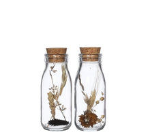 Milk bottle natural chique dried flowers 2 ass H14 D6 cm