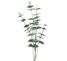 Eucalyptus Cinera lvs spray x5 90cm