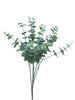 Eucalyptus Cinera lvs bush 5x3 60cm