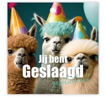 Pakje a 12 Kadokaartjes Jij bent geslaagd gefeliciteerd