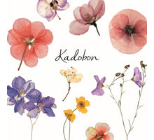 Pak a 12 kadobonnen met Veldbloemen