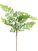 Fern Maiden Hair lvs green 53cm