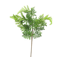 Athyrium spray green 57cm