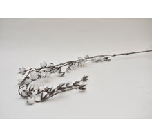 Cotton willow white 147cm