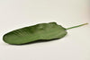 Bananen blad green 110cm