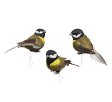 cb. 12 birds yellow/green 9 cm