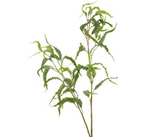 Pansia leaf spray green 110cm