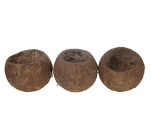 Coconut 3pc in row   35x12x9cm Natural