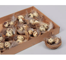 Nestje Met Kwarteleitjes 7cm - 12 stuks