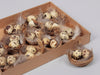 Nest with quail eggs 7cm - 12 pieces