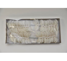 w/b. 48 butterflies/pick white 8 cm