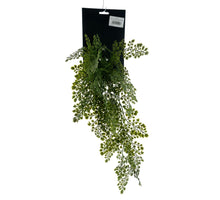 Maidenhair fern small on hang card green 50cm