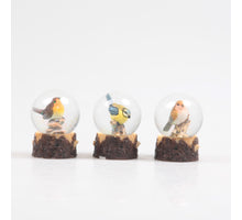 BIRD WATER GALL/SHAKE GALL 3 ASS 4.5X4.5X6 CM