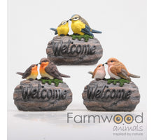 VOGELS WELCOME OP STEEN M/MUZIEK 3 ASS