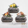BIRDS WELCOME ON STONE W/MUSIC 3 ASS