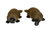 PLATYPUS 2 ASSORTED 26X13X8 CM