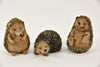 POLY HEDGEHOG 3 ASS. 12 CM