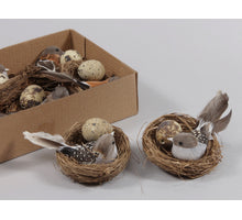 Nestjes met vogels en eieren 7cm - 6 Stuks