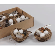 Nestjes met vogels en eieren 6cm - 8 Stuks