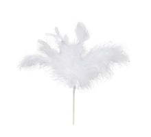 pb. 8 feather sticks white 12 cm