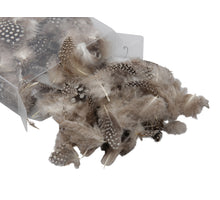 cb. chicken feathers loose natural 3 gr