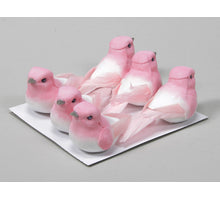 w/b. 6 birds/wire pink 9 cm