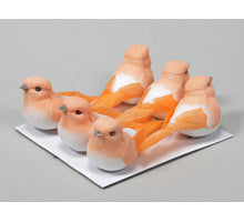 w/b. 6 birds/wire orange 9 cm