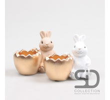 PAASHAAS M/EIERSCHAAL CEMENT 2ASS 10X6X9 CM CAMEL, WIT