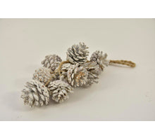 Garland Pinecones 30cm White-wash