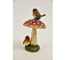 PADDENSTOEL M/VOGELS 8X8X16 CM